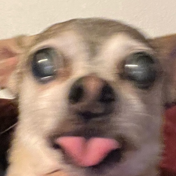 kimi9977